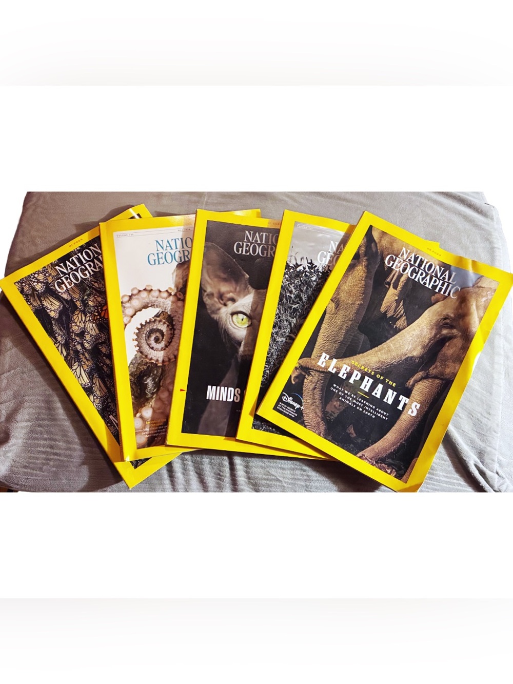 National Geographic Magazine Bundle 5 Issues Animals: Butterflies, Elephants